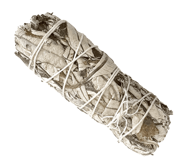 sauge blanche  yerba santa 20-30g