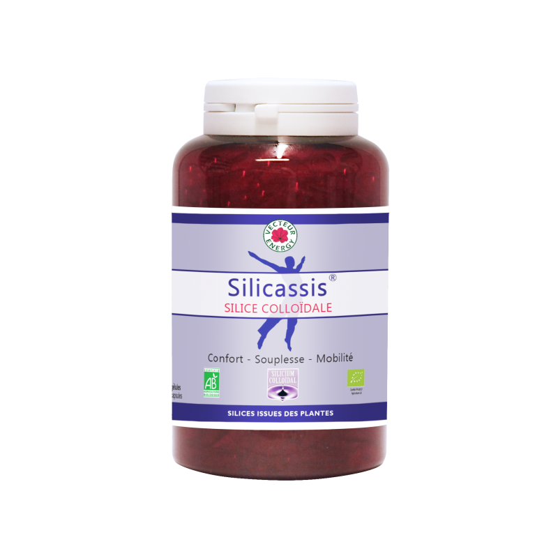 Silicium ORGANIQUE: SILICASSIS 180 GELULES